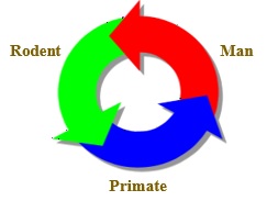 Translational Science